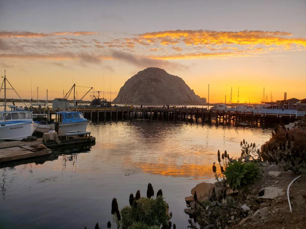 Gray'S Inn & Gallery Morro Bay Exteriör bild