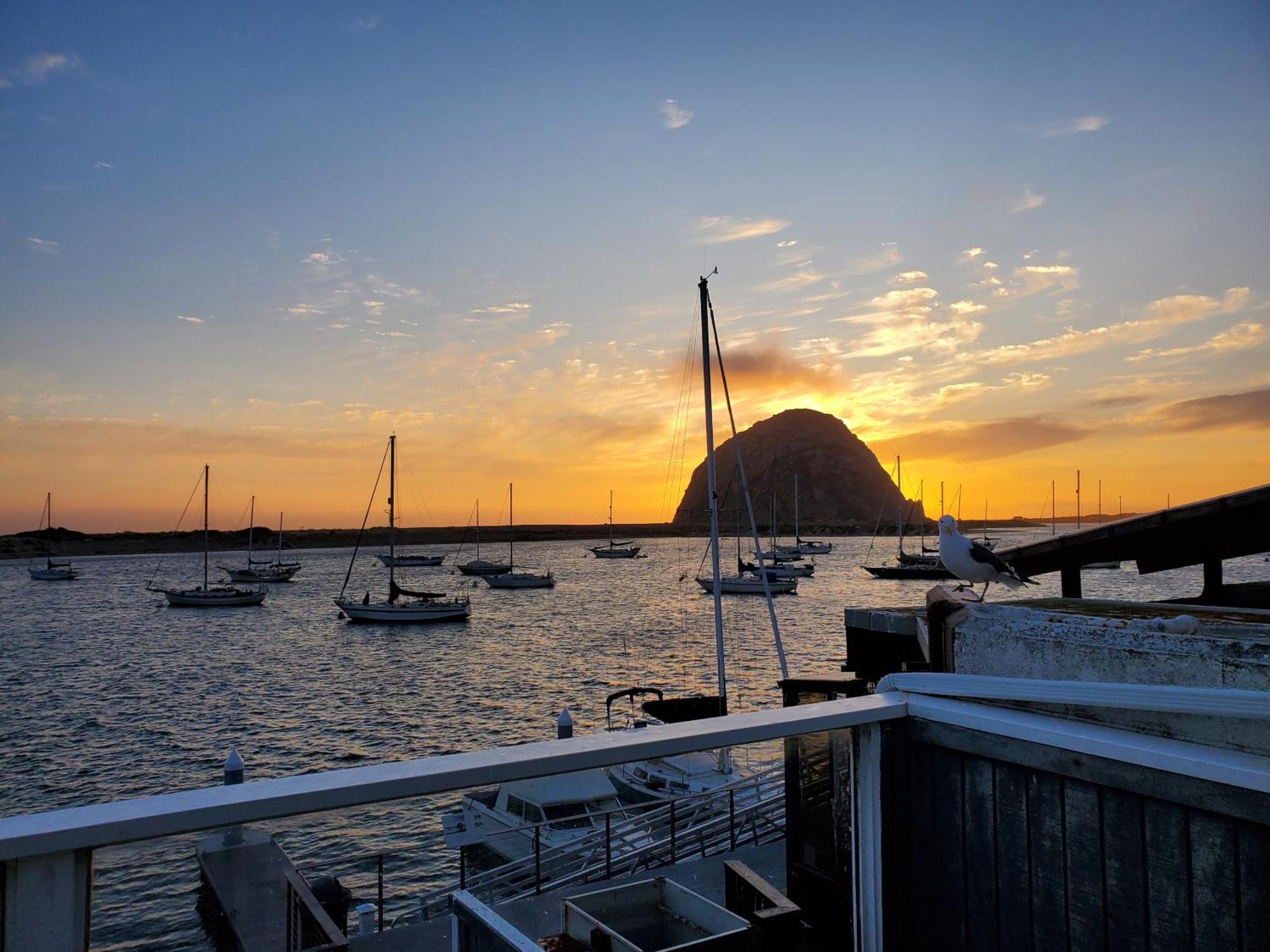 Gray'S Inn & Gallery Morro Bay Exteriör bild